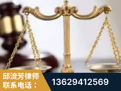 渭南-委托诉讼代理人出庭
